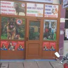 What should i feed them? Pawsitive Vet Clinic A Complete Pet Clinic Pet Clinics Book Appointment Online Pet Clinics In Delhi Gate Agra Justdial