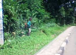 Berikut ini adalah arti mimpi yang terdapat pada kategori rumah. Cara Membuat Kompos Seresah Rumput Dan Daun Berbagi Tak Pernah Rugi