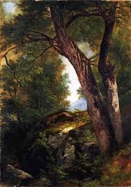 Sbsebek Butternut Tree At Hague Lake George New York Asher Brown Durand Circa 1862 Lake George Lake Durand