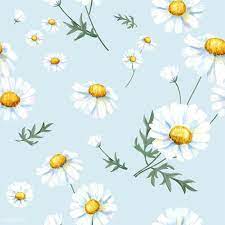 Dreaming of white flowers means that there is little negativity in your life at this moment. What Dream About White Flowers Means
