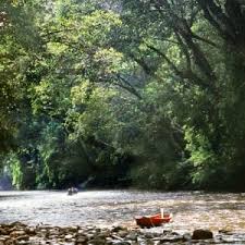 Book our reliable, cheap, flight tracked, private taxi, minibus or coach service now. Rundreise Taman Negara Nationalpark Ab Kuala Lumpur Tourasia Reise Angebot