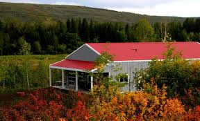 Backcountry lodges offer a very special experience. 20 Cottage And Cabin Rentals In Alberta The Banff Blog