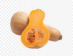 Before you eat them, the flowers need to be gently washed under cold water and pat dry. Butternut Squash Cucurbita Zucchini Winter Squash Wax Gourd Pattypan Squash Png Herunterladen 700 700 Kostenlos Transparent Winter Squash Png Herunterladen