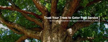 Sports coverage for gainesville, fl, including high school, college and professional, from gainesville sun. 352 367 0017 Gator Tree Service