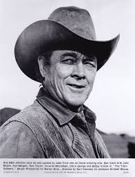 The Train Robbers (1973)