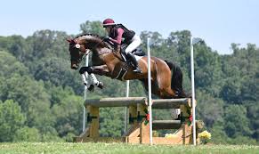 Get to Know the 2023 Area III Champions