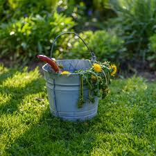 Check spelling or type a new query. National Weed Your Garden Day June 13 2022 National Today
