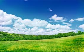 Jpegview is a lean, fast and highly configurable viewer/editor for jpeg, bmp, png, webp, tga, gif and tiff images with a minimal gui. Nature Wallpapers Top Free Nature Backgrounds Wallpaperaccess