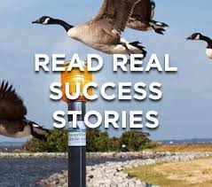 Hang nylon string between tall piles and have hang long (approx. Get Rid Of Geese And Keep Geese Away Away With Geese Goose Deterrent