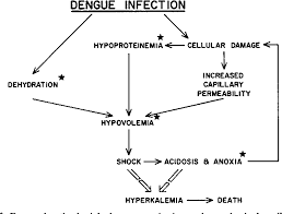 Pathogenesis and pathophysiology of yf 347. Figure 3 From Dengue And Hemorrhagic Fevers Of Southeast Asia Semantic Scholar