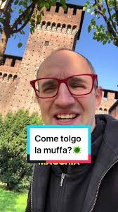 Come Togliere La Muffa Dai Muri Geo Pop