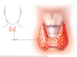 An overactive thyroid (hyperthyroidism) can cause a wide range of symptoms, although it's the symptoms may develop gradually or suddenly. Hypothyroidism Symptoms And Causes Mayo Clinic