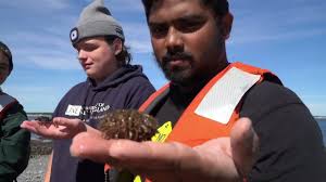 Tổng Hợp Học Bổng Đại Học Vùng Regional Mới Nhất