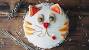 Dog Fondant