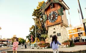 Viajo a carlos paz el día lunes. Reloj Cucu De Carlos Paz