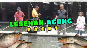 Lesehan Kolam Pancing Agung Youtube