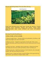Belimbing wuluh yang dikenal dengan banyak nama, seperti belimbing sayur, belimbing buluh, belimbing botol, belimbing asam, ataupun. Khasiat Belimbing Buluh