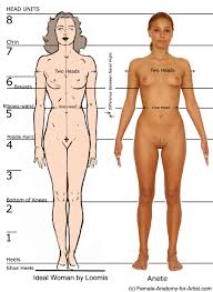 005 | Anatomy References for Artists