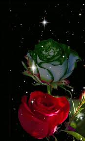 We did not find results for: Flower Gif Wallpaper