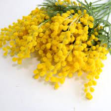 Jasming 6pcs Artificial Albizia Julibrissin Fake Acacia Yellow Flowers Mimosa Leaves Flocking Plants For Home Garden Decor Plants House Plants Yellow Flowers