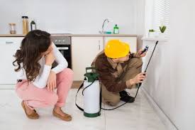 Find the best pest control companies in your area. Pest Control Service In Abu Dhabi Discount On Prices By Pest Companies In Abu Dhabi Storat