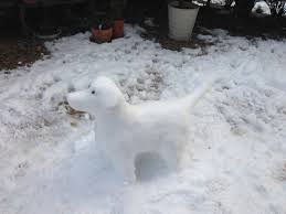 How To Make A Snow Dog Sculpture Snow Sculptures Snow Dogs Dog Sculpture