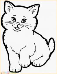 18 cara merawat kucing persia medium … Menggambar Kucing Lucu