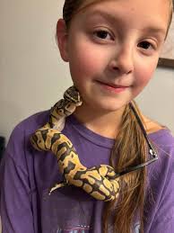 Hey guys! Y'all say hello to my baby Anakin! Brought him home a week and a  half ago :)