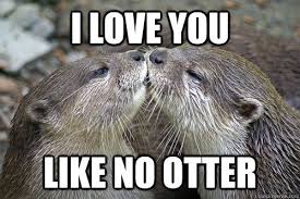 I Love You Memes For Him And Her Freshmorningquotes Love You Meme Romantic Memes Love You Funny