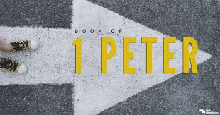 Paragraph divisions of modern translations. Summary Of The Book Of 1 Peter Bible Survey Gotquestions Org