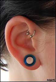 Stretch And Forward Helix Ear Piercings Helix Jewelry Forward Helix Piercing