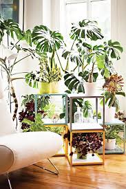 Son muy utilizados en salas y comedores que suelen no tener divisiones pero con ciertos elementos claves que coloquemos nos ayudarán a limitar unos espaci. 17 Ideas Para Decorar Tu Sala De Estar Con Plantas En Esta Primavera Paperblog