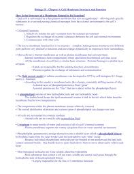 Introduction and discussion of how the anatomy of the cell membrane determines it's function. Biology Ii Chapter 4 Cell Membrane Structure And Function