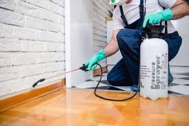 Prices may vary depending on your pest plan and target pest. 1 Pest Control In Singapore 2021 Nea Approved Cheapest Prices For Home Commercial Services