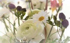 Check spelling or type a new query. White Flower Symbolism Meaning Garden Gifts Occasions Uniguide