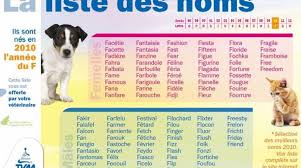 Trouver des prénoms mignons et originaux pour votre chatte ! Image Part 268