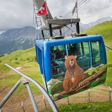 Reisen sie ins bärenland arosa mit unserem neuen spezialwagen und stimmen sie sich bereits während ihrer anreise auf das thema bär ein. Neues Barenland In Arosa