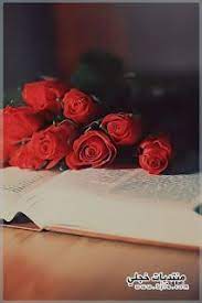 خلفيات ايفون ناعمه cute wallpaper iphone flowers rose iphone wallpaper