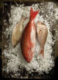 Items In North Bayshore Antiques Store On Ebay Beautiful Food Photography Food Photography Inspiration Fish
