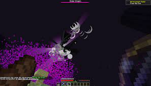 Multiple Ender Dragons In The End When Playing Survival Issue 2320 Papermc Paper Github