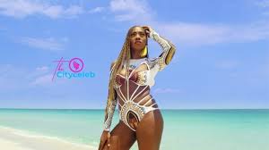 Within the feature, the 'transparent. Tiwa Savage Biography Wikipedia Net Worth Son Boyfriend Husband More Thecityceleb