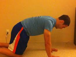 Being well prepared at special training centers, dogs performed a medical role. Thoracic Mobility And The Cat Camel Exercise Juggernaut Training Systems