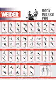 Circumstantial Weider Home Gym Exercise Chart Weider Home