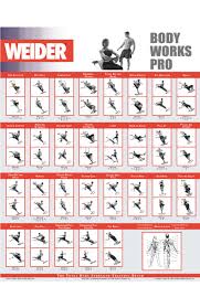 31 Rational Weider Home Gym Exercise Chart