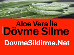 Aloe Vera Ile Dovme Silme Yapanlar Dovme Silme Dovme Sildirme Lazerle Dovme Cikarma