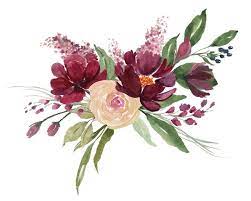 Watercolor Clip Art Flowers In Burgundy Blush And Plum Etsy In 2020 Flower Art Clip Art Flower Drawing