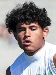 Portland State 2023 Football Commits