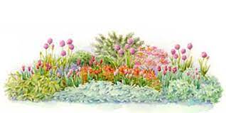 Maybe you would like to learn more about one of these? Bulb Gardens For Three Season Beauty Better Homes Gardens