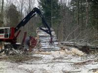 If you need a few branches moved away from a power line, this could cost $100 to $200, depending on the number of. Whole Tree Harvesting Could Boost Biomass Production Eurekalert Science News