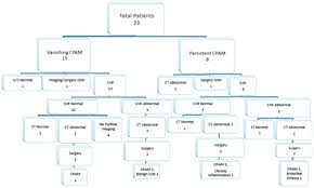 Cpams are considered part of the spectrum of bronchopulmonary foregut malformations. Long Term Outcomes In Children Diagnosed With Vanishing Cpam On Prenatal Imaging American Academy Of Pediatrics